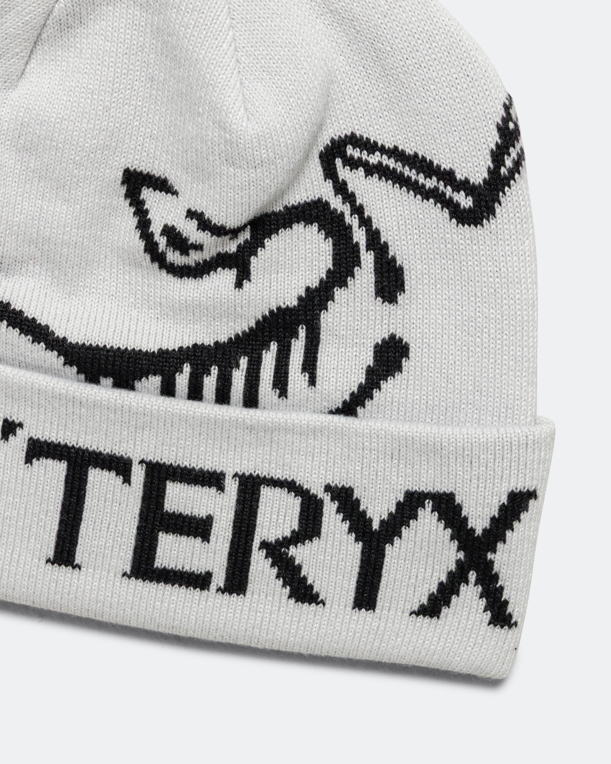 Arc‘teryx / Bird Word Toque / Orca Arc'Teryx - Bird Word Toque - Orca | UP THERE