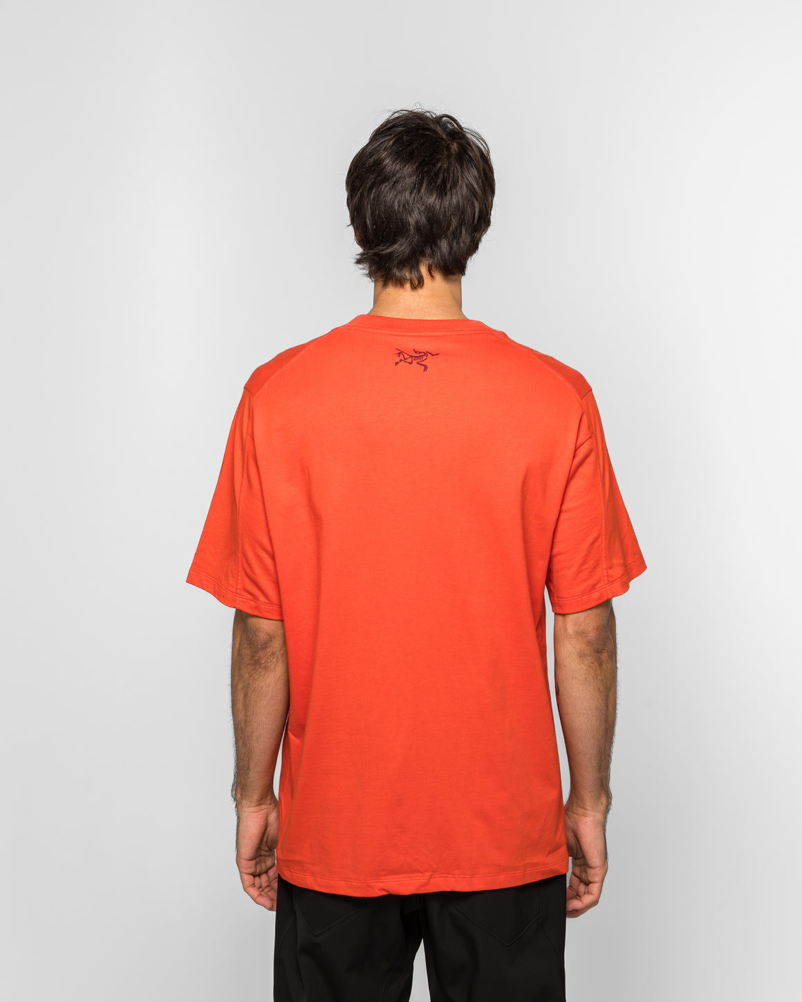 Arc'Teryx - Kragg Cotton Lithographica SS - Dynasty - UP THERE