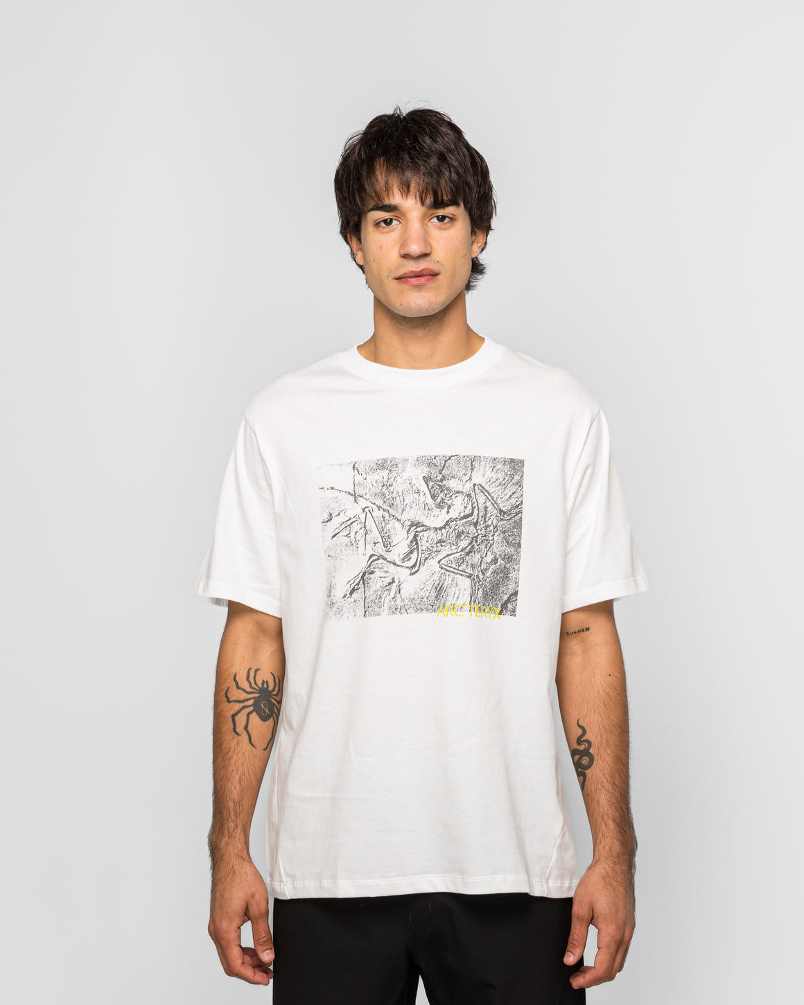 Arc'Teryx - Kragg Cotton Lithographica SS - White Light - UP THERE
