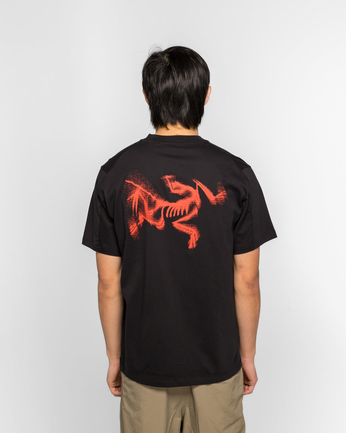 Arc'Teryx - Kragg SL Cotton Blurred Bird SS - Black/Dynasty - UP THERE