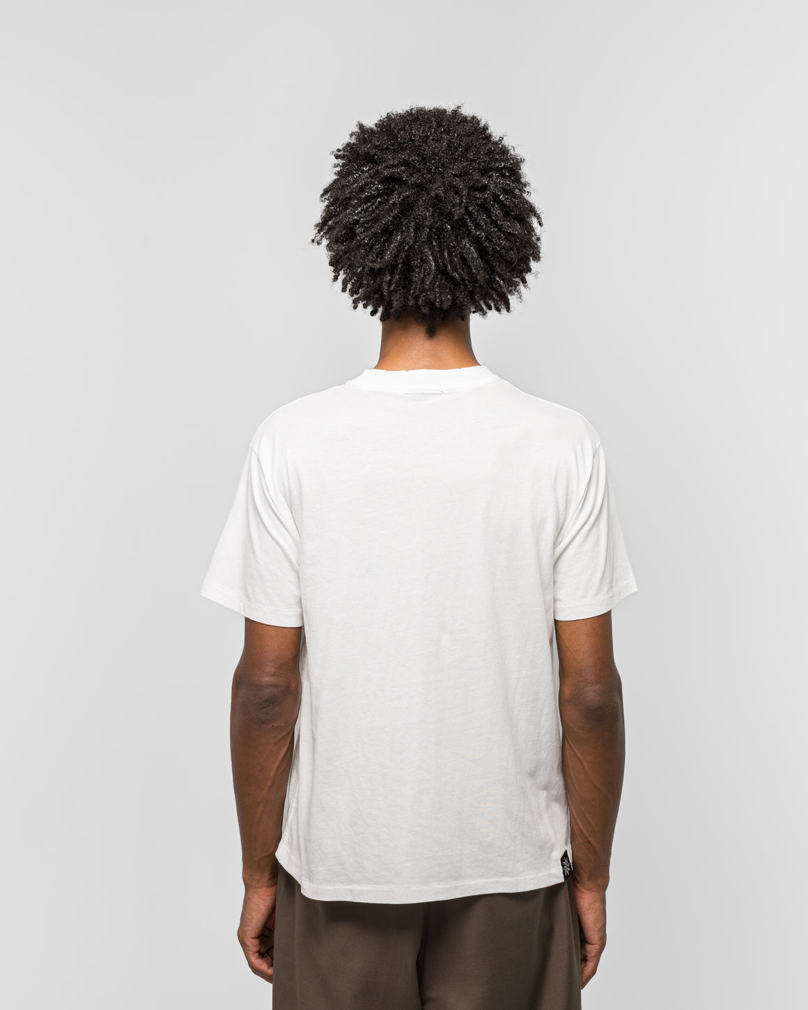 Beach Brains - Shark Tee - Crisp White - UP THERE