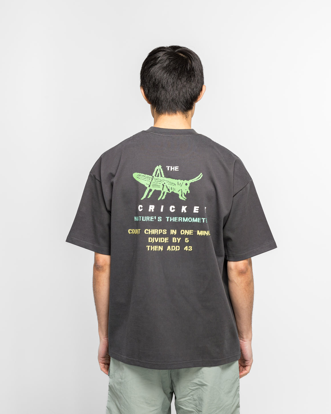 Metalwood - Cricket Heavy Pocket T-Shirt - Tar - UP THERE