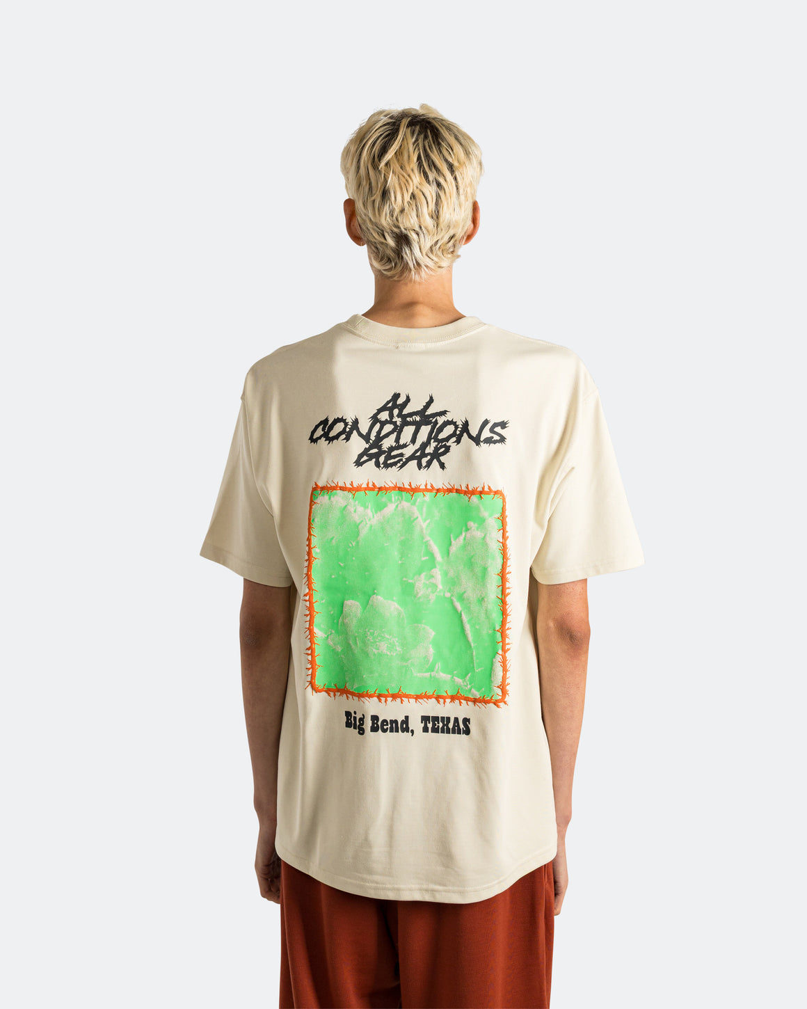 Nike ACG - Dri-FIT 'Cactus' SS Tee - Light Khaki - UP THERE