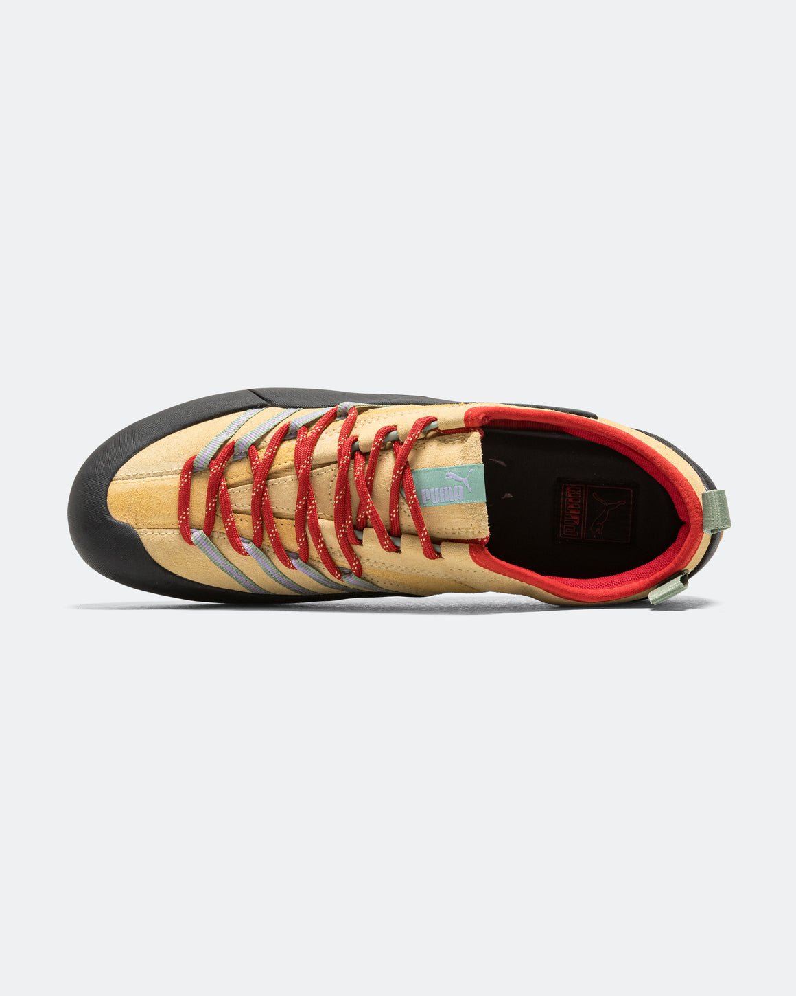 Puma - Klim - Light Straw/Black - UP THERE