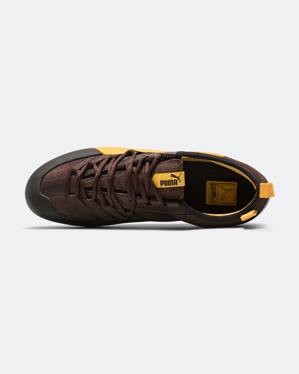 Puma - Klim Perf - Dark Chocolate/Mustard Seed - UP THERE