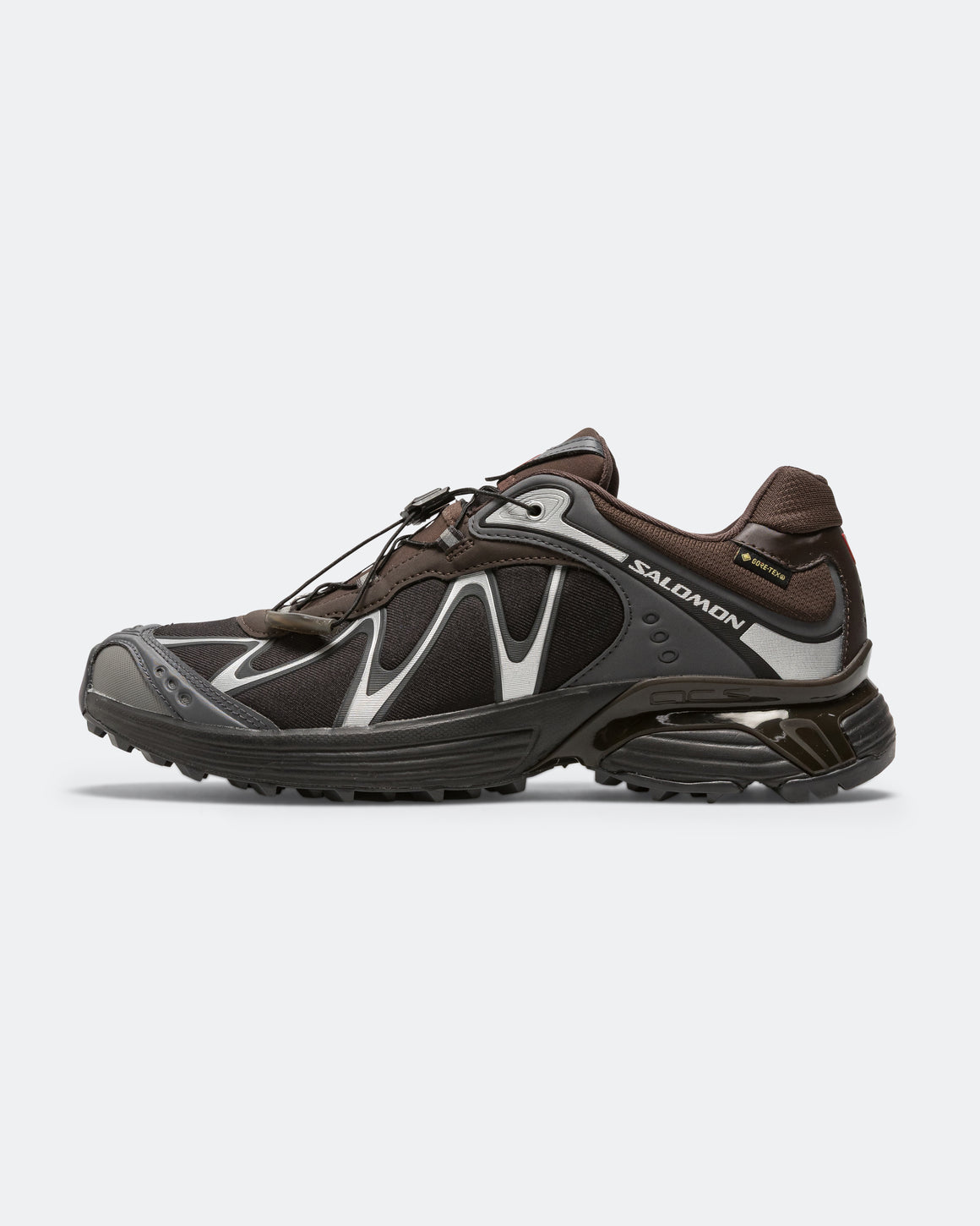 Salomon - XT-Whisper GTX - Delicioso/Asphalt-Castlerock - UP THERE